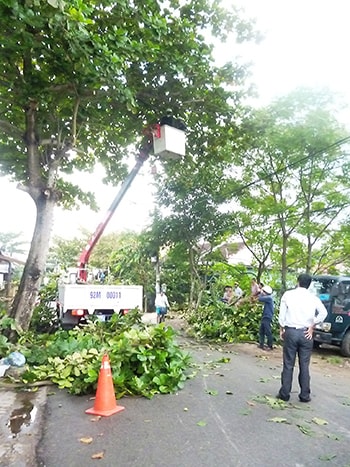 Lực lượng chức năng đã cắt tỉa cành cây trên đường Tiểu La – TP. Tam Kỳ đề phòng bão lúc 13 giờ chiều nay. 