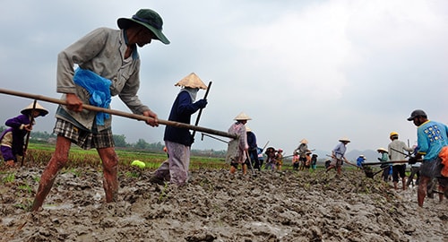 Nông dân tham gia cải tạo đồng ruộng. Ảnh: V.ANH