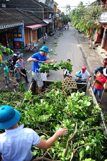 Huy động người phương tiện thu gom rác do bão gây ra. Ảnh: MINH HẢI