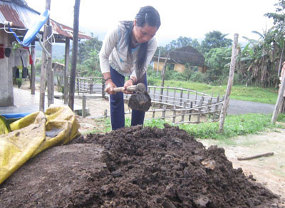 Từ chỗ canh tác tự nhiên, người dân đã dùng phân vi sinh để bón cho cây lúa tốt hơn.Ảnh: D.T