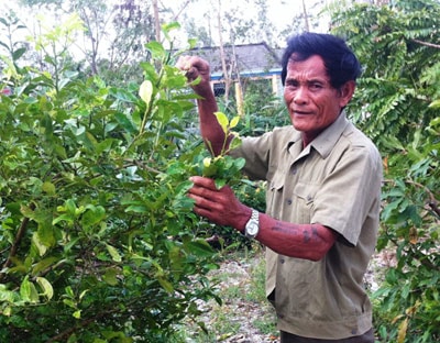 Cựu chiến binh Vũ Công Đích trong vườn nhà. Ảnh: THANH TƯỜNG