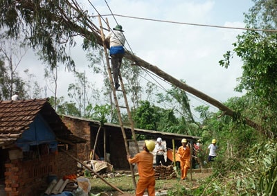 Sau bão Nari, nhiều nơi cây xanh ngã đổ gây thiệt hại cho lưới điện.Ảnh: Nhị triều