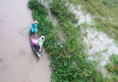 Dùng xung điện đánh bắt thủy sản trên sông Bà Rén thuộc khu vực Cầu Chìm (xã Duy Trung, Duy Xuyên).