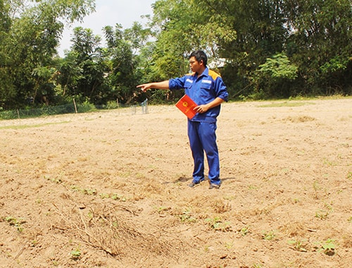 Ông Đỗ Văn Thao chỉ khu đất mà gia đình ông được cấp bìa đỏ, nhưng ông chưa được quản lý, sử dụng. Ảnh: T.T