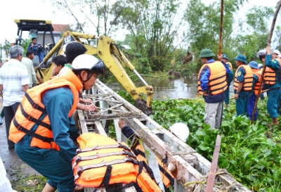 Cầu tạm Bình Đào bị bèo gây tắc nghẽn. Ảnh: Q.VIỆT