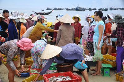 Trong chiến lược biển đến năm 2020, Quảng Nam luôn trọng nghề khai thác và hậu cần chế biến, tiêu thụ sản phẩm. TRONG ẢNH: Một chợ cá di động tại bờ biển xã Tam Tiến (Núi Thành).