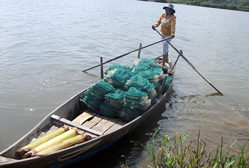 Được mô hình “hộ gắn hộ” tiếp sức, gia đình chị Võ Như Hải có sinh kế ổn định và thoát nghèo bền vững.Ảnh: V.HÀO