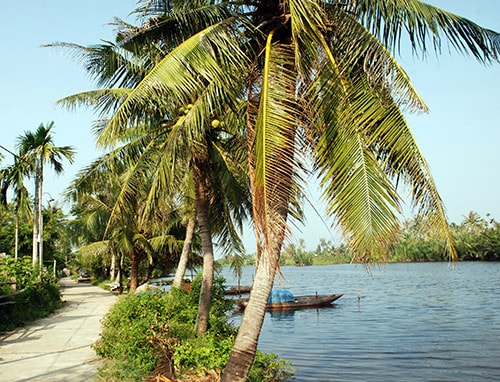 Bình yên làng quê Cẩm Thanh.