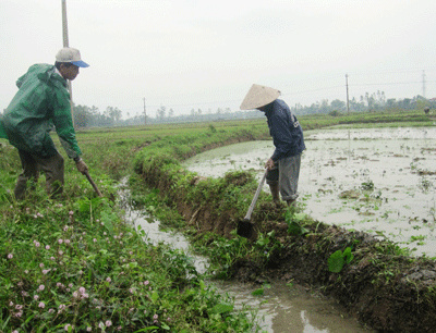 Nông dân Đại Lộc đang dốc sức khơi thông dòng chảy. Ảnh: VĂN SỰ