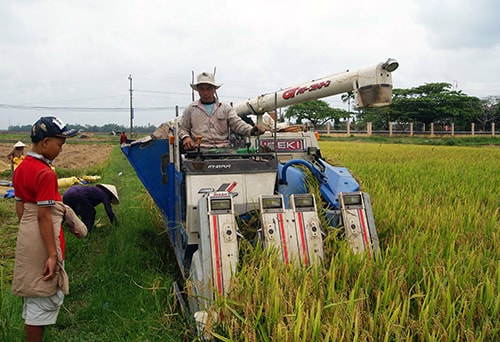 Gia tăng đầu tư cho nông nghiệp, nông thôn…, giải phóng hàng tồn kho. Ảnh: T.D