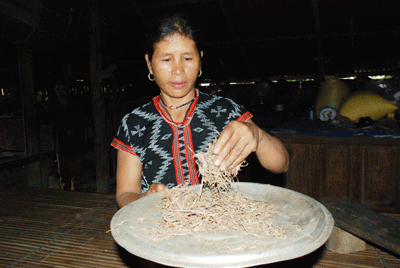  Vỏ cây chehăng - thứ nguyên liệu quý để tạo nên men rượu cần của người Cơ Tu. Ảnh: Đ.ĐẠO