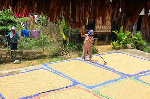 Tạo sinh kế bền vững - hướng thoát nghèo cho đồng bào vùng cao. Ảnh: LĂNG A CÚI