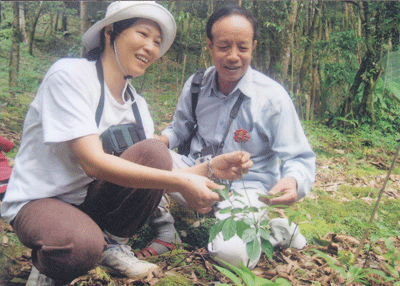 TS. Đào ở Trung tâm Sinh học TP.Hồ Chí Minh nghiên cứu tạo giống cây sâm Ngọc Linh năm 2012. (Ảnh: tư liệu)