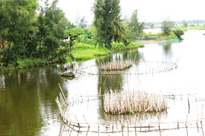 Đầu tư vào sông Cổ Cò sẽ liên kết vùng để phát triển tài nguyên sông nước. Ảnh: QUANG VIỆT