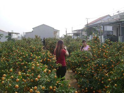 Khám phá các vườn hoa xuân luôn mang lại cho du khách những trải nghiệm thú vị.  Ảnh: GI.KHANG