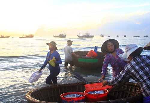 Tờ mờ sáng, những người phụ nữ đã ra biển để chuẩn bị cho một ngày mưu sinh mới. Ảnh: Thành Công