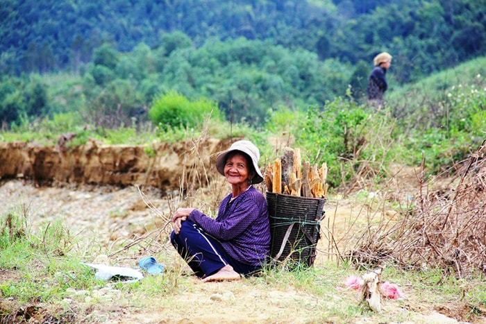 Tranh thủ buổi lên rẫy, cụ bà Ta Rương Thị Hơi (ở thôn C’loò, xã Sông Kôn) gùi về những nhánh củi khô, chụm ngày Tết.