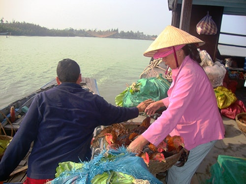 Ngày tháng chạp, bà Huỳnh Thị Thừa mua rau và gà từ chợ Nồi Rang theo tàu chợ đem ra đảo bán. Ảnh: THIÊN NGA