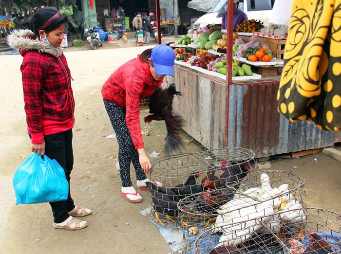 Một người dân mua gà tại 