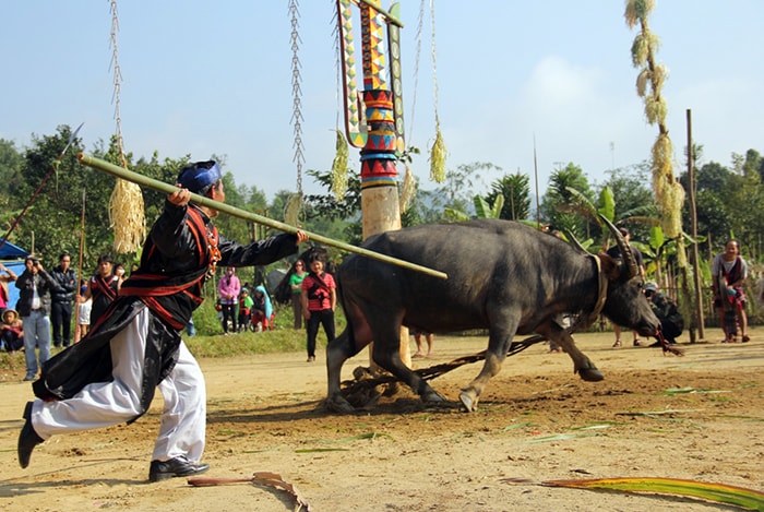 Một cụ già “thử nghiệm” nhát đâm đầu tiên bằng cây tre để con cháu học hỏi.