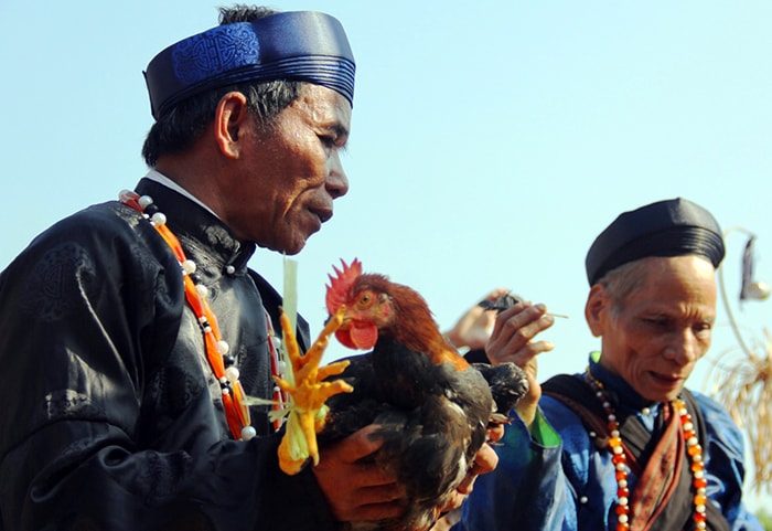 Tế sống con gà cho Giàng - một sự kiện thường chỉ xuất hiện trong ngày lễ trọng đại của buôn làng.