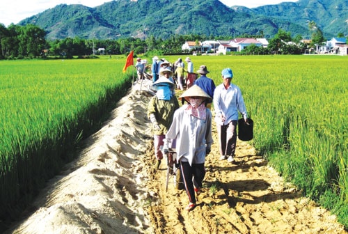 Con đường về thôn Vĩnh Trinh (xã Duy Hòa) đã được giải phóng mặt bằng, chuẩn bị đổ bê tông.