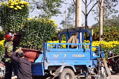 Chuyển chậu hoa lên xe chở về nhà cho khách hàng.