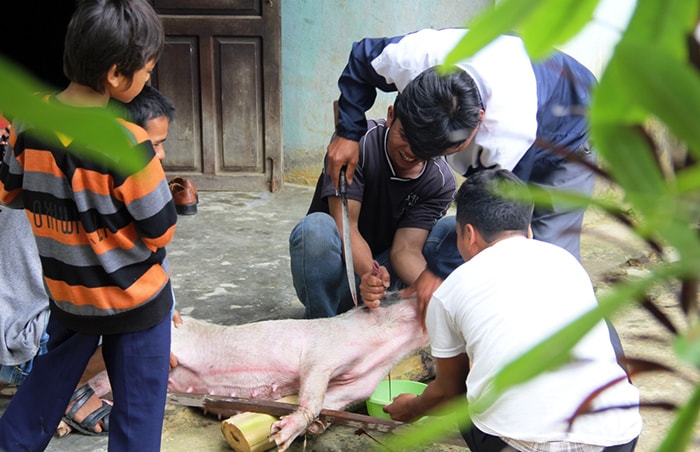 Chọc tiết heo làm lễ cúng Tất niên.