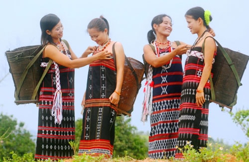 Bốn sắc màu cơ tu