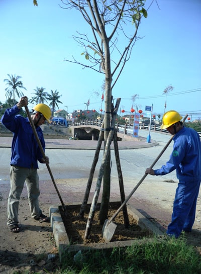 Công nhân Công ty Công trình công cộng TP.Hội An ra quân trồng cây đầu năm.  Ảnh: MINH HẢI