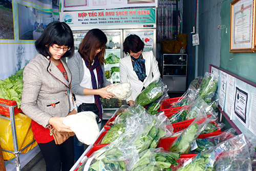 Cửa hàng rau sạch của HTX Mỹ Hưng tại TP.Tam Kỳ thu hút được người tiêu dùng. Ảnh: N.D