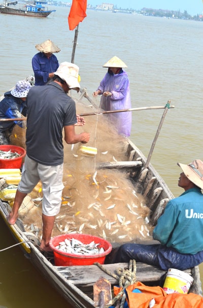 Ngư dân Quảng Nam bội thu chuyến biển đầu năm ở cả ngư trường xa bờ và gần bờ. Ảnh: Q.VIỆT