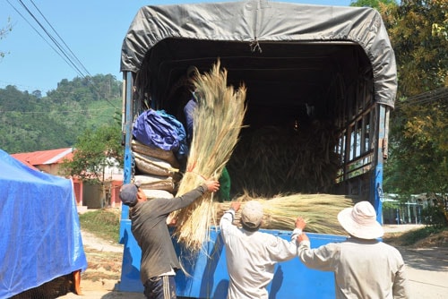  Chuyển đót về xuôi.                                                       Ảnh: V.ANH