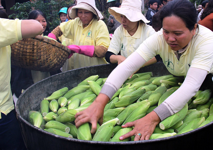 Many big corn processing firms in Hoi An city participated the festival.
