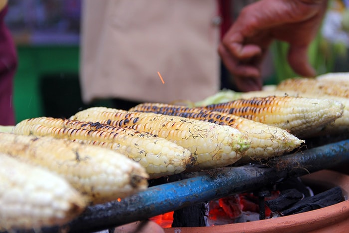 Attractive toasted corncob at the festival.