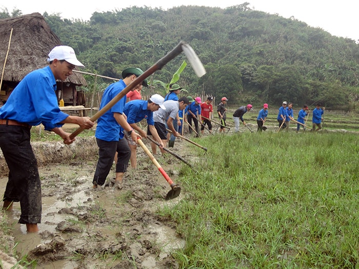 Giúp dân khai hoang lúa nước.