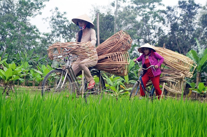 Phụ nữ làng Gióng Mỹ Nam chở những đôi gióng vừa làm xong đem bán ở các chợ tại huyện Đại Lộc.