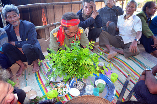 Già làng đang dùng lá cỏ đá để cúng phép cầu sức khỏe cho dân làng. Ảnh: VÕ LÊ