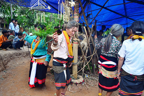 Phụ nữ Ca Dong mang gùi lá cỏ đá nhảy múa trong lễ đâm trâu.