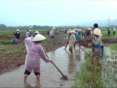 Nhân dân xã Duy Sơn hưởng ứng chủ trương dồn điền đổi thửa. Ảnh: HUỲNH BẢY