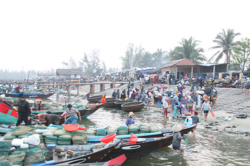 Từ sáng sớm, thương lái đã đến thu mua cá chật kín cả bờ kè An Lương.