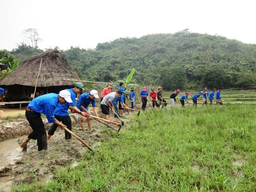 Các tình nguyện viên cùng với cán bộ, chiến sĩ Bộ đội Biên phòng xuống các thôn bản giúp đồng bào khai hoang ruộng lúa nước.