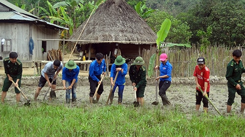 Thanh niên tình nguyện cùng đồng bào miền núi khai hoang, trồng lúa nước.