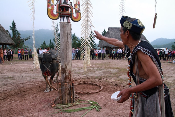 Watering-one of the important sub-ceremonies to Giang (God) before beginning the Buffalo stabbing ceremony