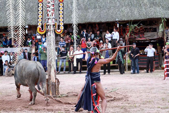 Buffalo stabbing ceremony - the most sacred event of the festival.