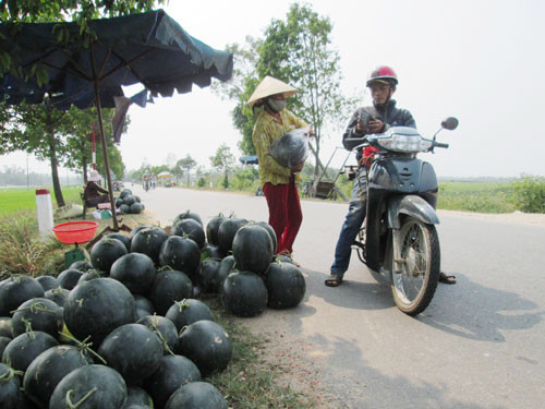 Dưa hấu được bày bán dọc tuyến ĐT 610 của huyện Duy Xuyên. Ảnh: T.S