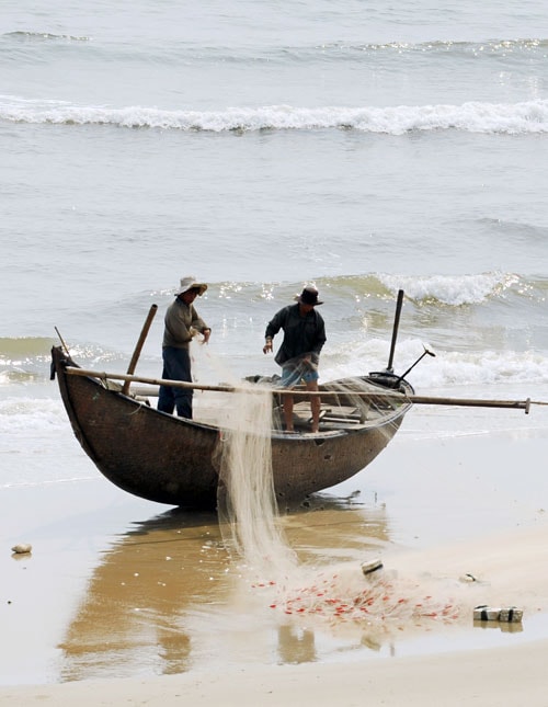 Chuẩn bị cho chuyển biển.