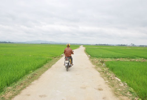 Giao thông nội đồng được đầu tư xây dựng ở cánh đồng Thương Lâm (Thái Nam, Tam Thăng). Ảnh: N.Đ.N