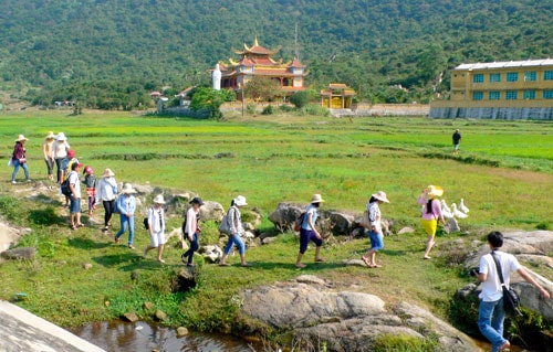 Nhiều tour du lịch cùng tham gia bảo vệ môi trường.Ảnh: QUỐC HẢI