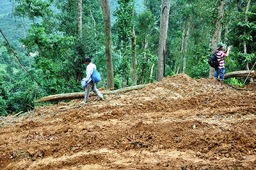 Mở đường trái phép tại vùng giáp ranh xã Trà Ka (Bắc Trà My) với huyện Tây Trà (Quảng Ngãi) cuối năm 2012. Ảnh: HỮU PHÚC